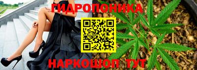 крисы Новозыбков